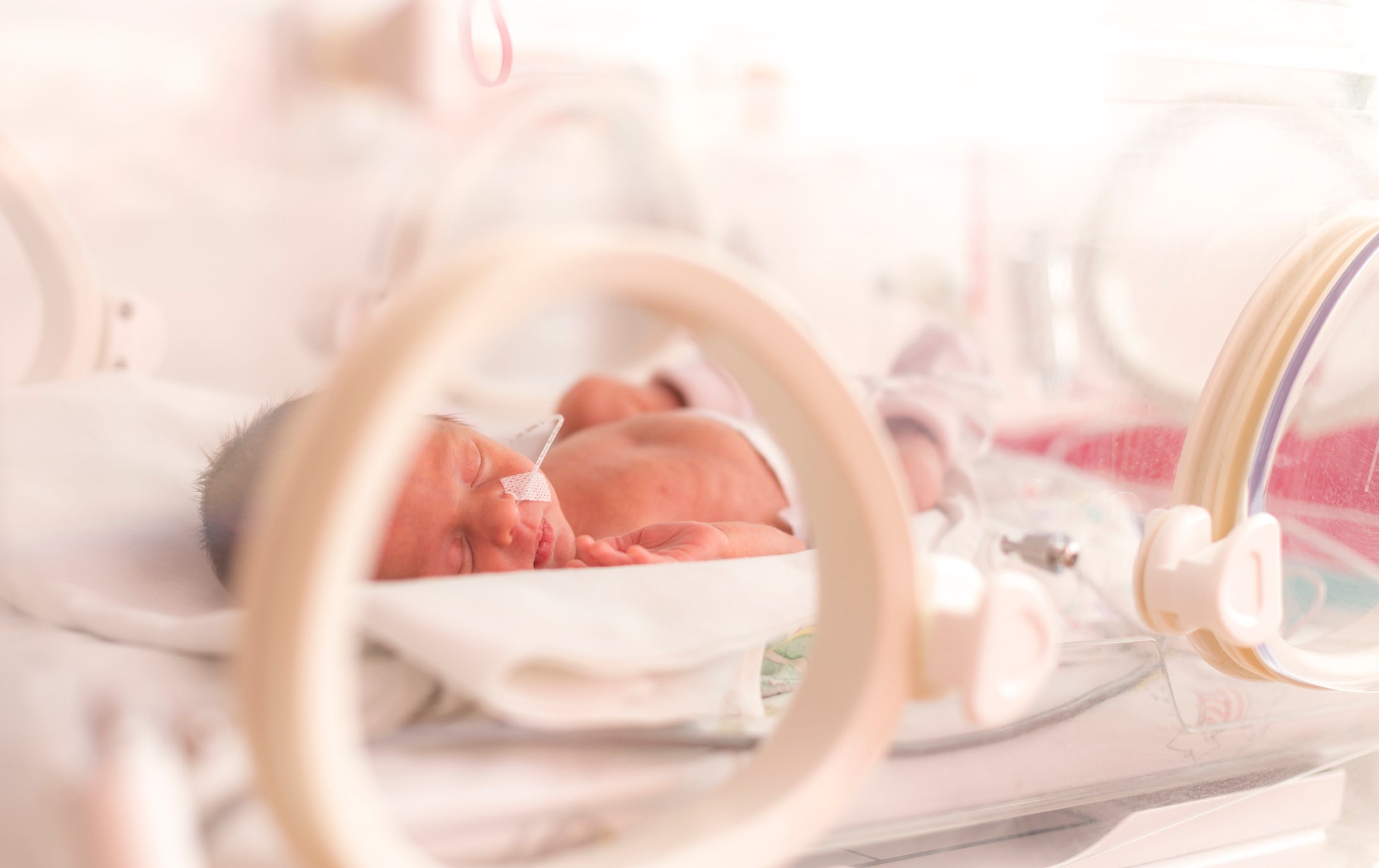 Hillcrest Recognizes Prematurity Awareness Month